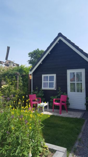 Zalk blijven slapen